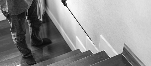 Exterminator Services